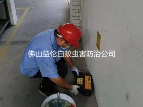 三水时代南湾小区楼道灭鼠