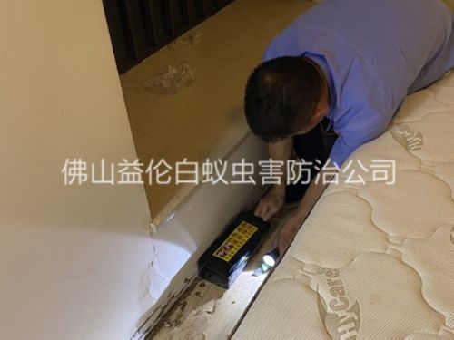 三水家居白蚁灭治工程